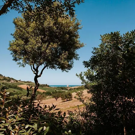 Collina Sul Mare - Teloni ヴィラ *