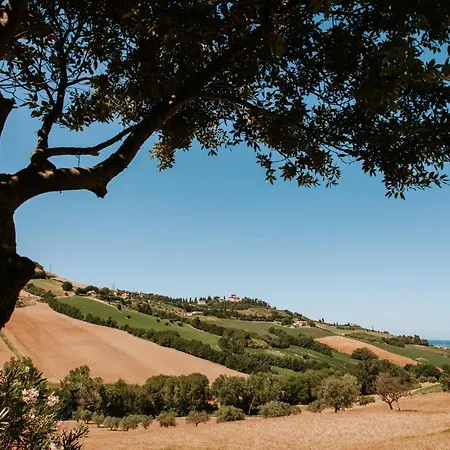 Collina Sul Mare - Teloni * Fermo