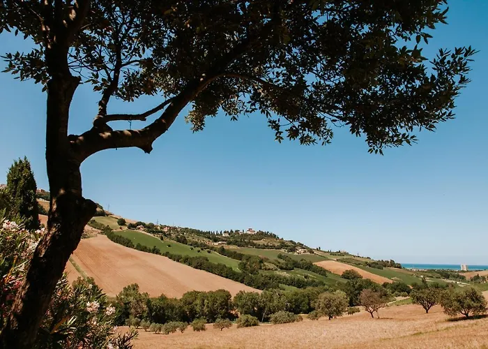 Collina Sul Mare - Teloni * Fermo